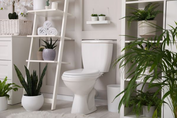 Cost of Toilet Repair in Mason