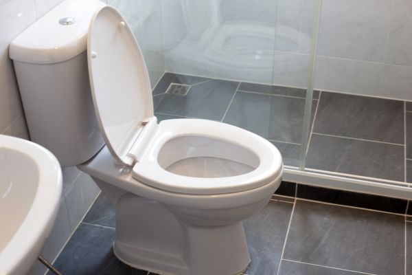 Toilet Replacement in Mason