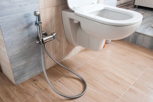 Bidet Service in Mason