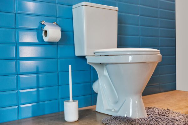 Cost of Toilet Tank Repair in Mason
