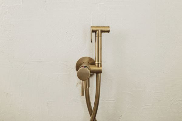 Bidet Plumbing in Mason